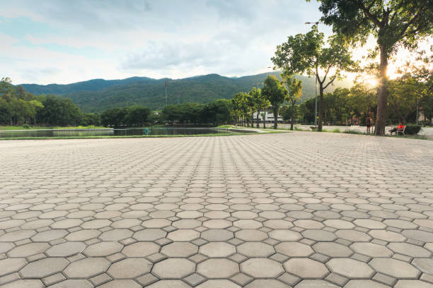 Best Local Driveway Pavers  in Stevensville, MD
